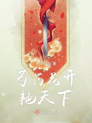月夜直播在线观看视频免费下载