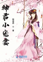 白杰小说目录 完整版