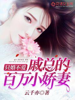 女主播vip会员视频