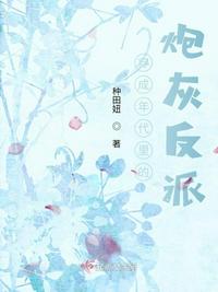 花开上海滩 电视剧