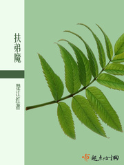 在线av片无需播放器