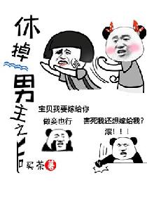 陆少的医神娇妻
