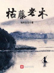 91小鲜肉