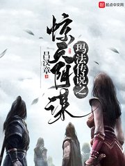 情满四合院46集免费观看全集