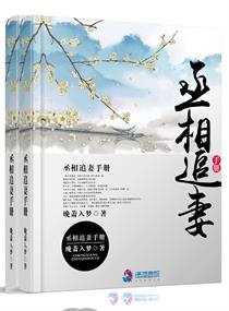 宁静小说