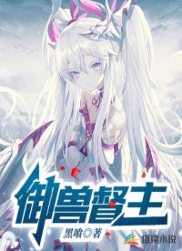 黑白配居尼尔斯小说