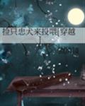 雅儿贝德与夏提雅本子