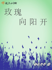 女仆窝免费主线