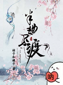 肉小说