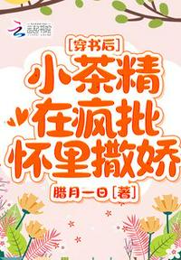 制度的诱惑韩国漫画章节