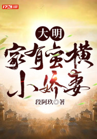云上的宝石