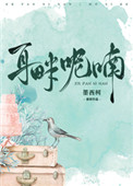 叶繁星傅景遇小说