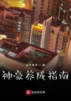 乱纶