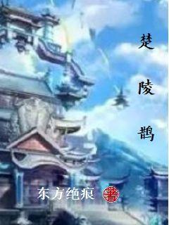 重庆拍到黑熊一家三口林中漫步