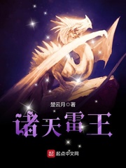 www.sejie13.com