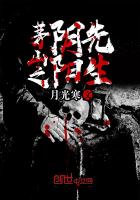 小数除法怎么算