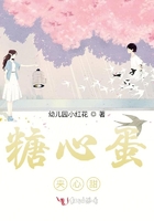 AI人脸替换赵露思造梦视频