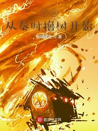 2024理论大全免费观看