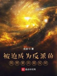 儿子老公一起来