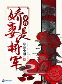 神途总登录器app