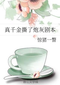 24小时日本高清在线观看视频