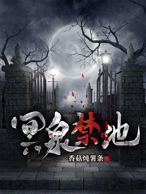 盗墓笔记之张起灵之妻