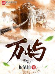 wifi伴侣