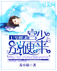 神雕侠侣陈晓版未删减