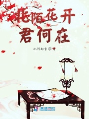 我的前半生2 第二部