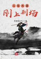 翻滚吧前夫全文免费阅读