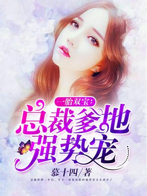 粉红理论小说