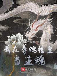 这里都是精品视频23