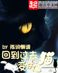拯救悔意人生快穿