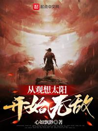 小说灿烂时光