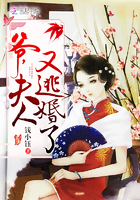 天医圣手