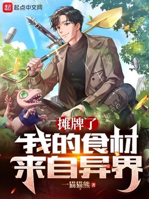 嘉嘉的丝袜美腿全文阅读
