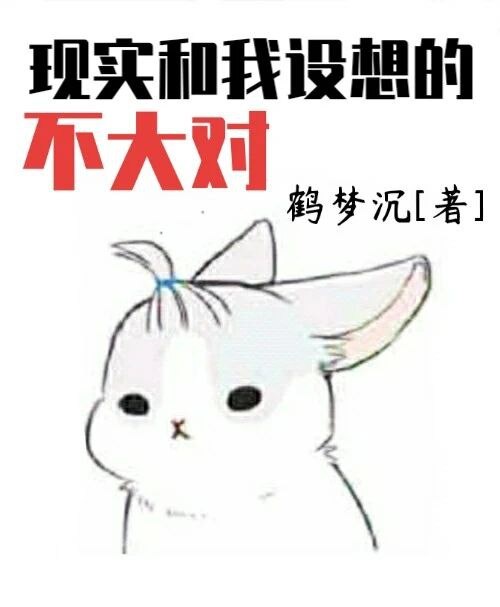 新乱世佳人电视剧9集