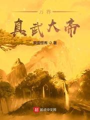 金瓶梅之偷情宝鉴