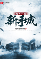 将军在上我在下小说百度云