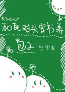 姜可全文阅读免费笔趣阁小说林慕