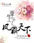 东北vodafonewifi