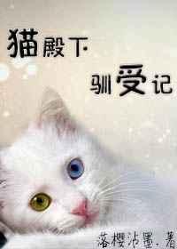 拍拍拍视频完整版