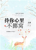 光之美少女最新的一季