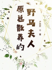 黄手帕韩国电视剧免费播放