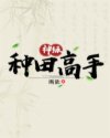 旅行者插了雷神视频