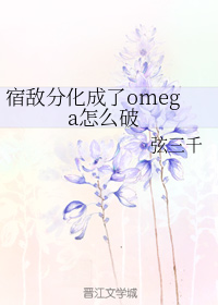 管家婆网站