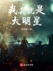 艳情版红楼梦完整版