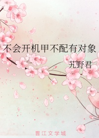 亚洲 另类 自拍 小说 图片