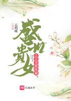 模拟联合国