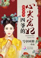痴情不是罪过忘情不是洒脱是什么歌